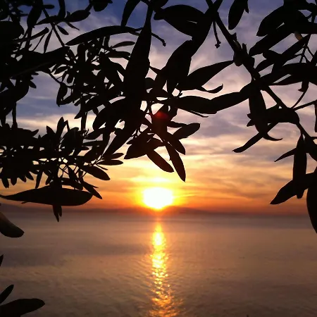 호텔 Atamer Gemlik